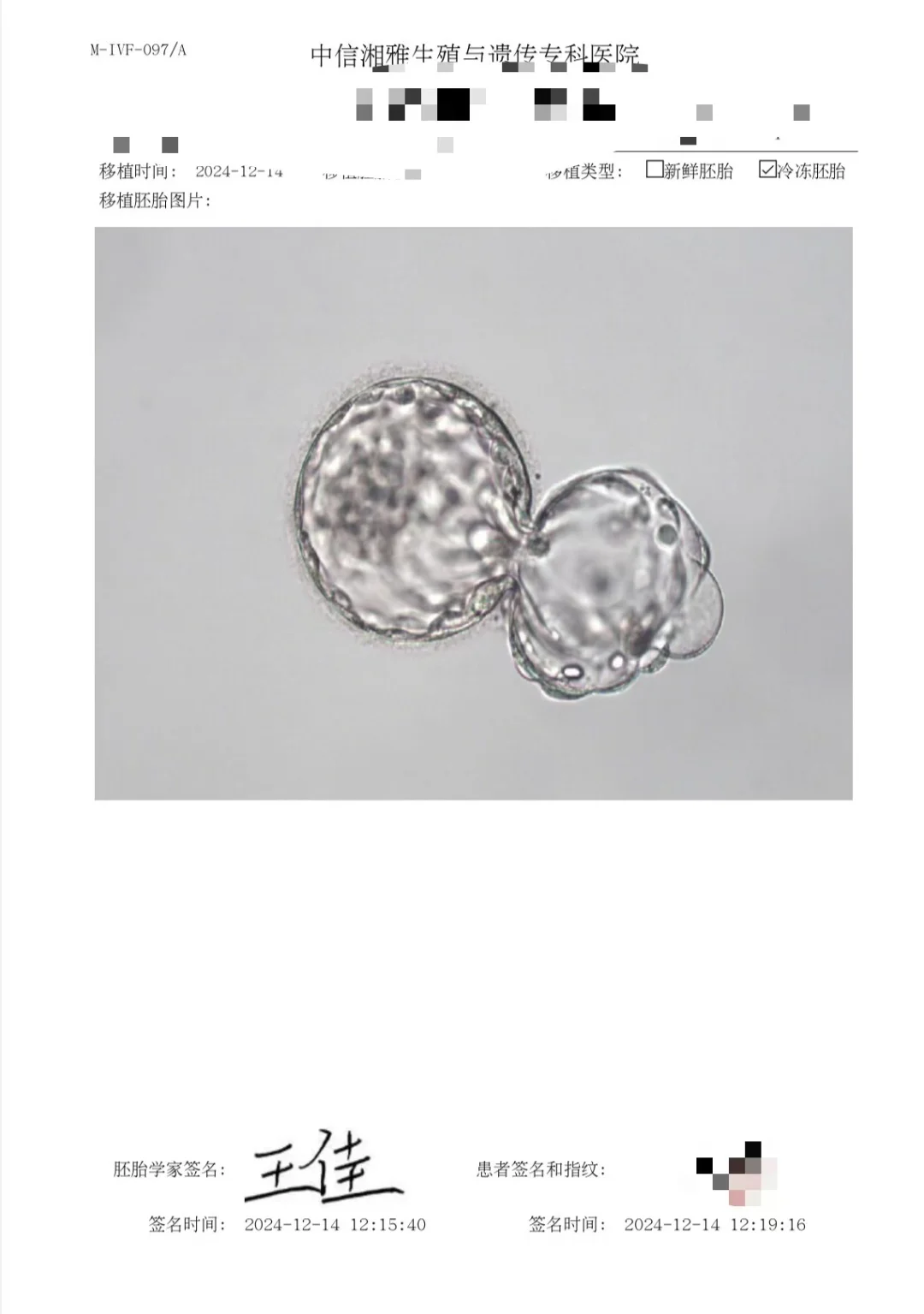 二移又要失败了😔这么好看的4bb,代孕高鹰助孕中心&代孕母亲心理问题