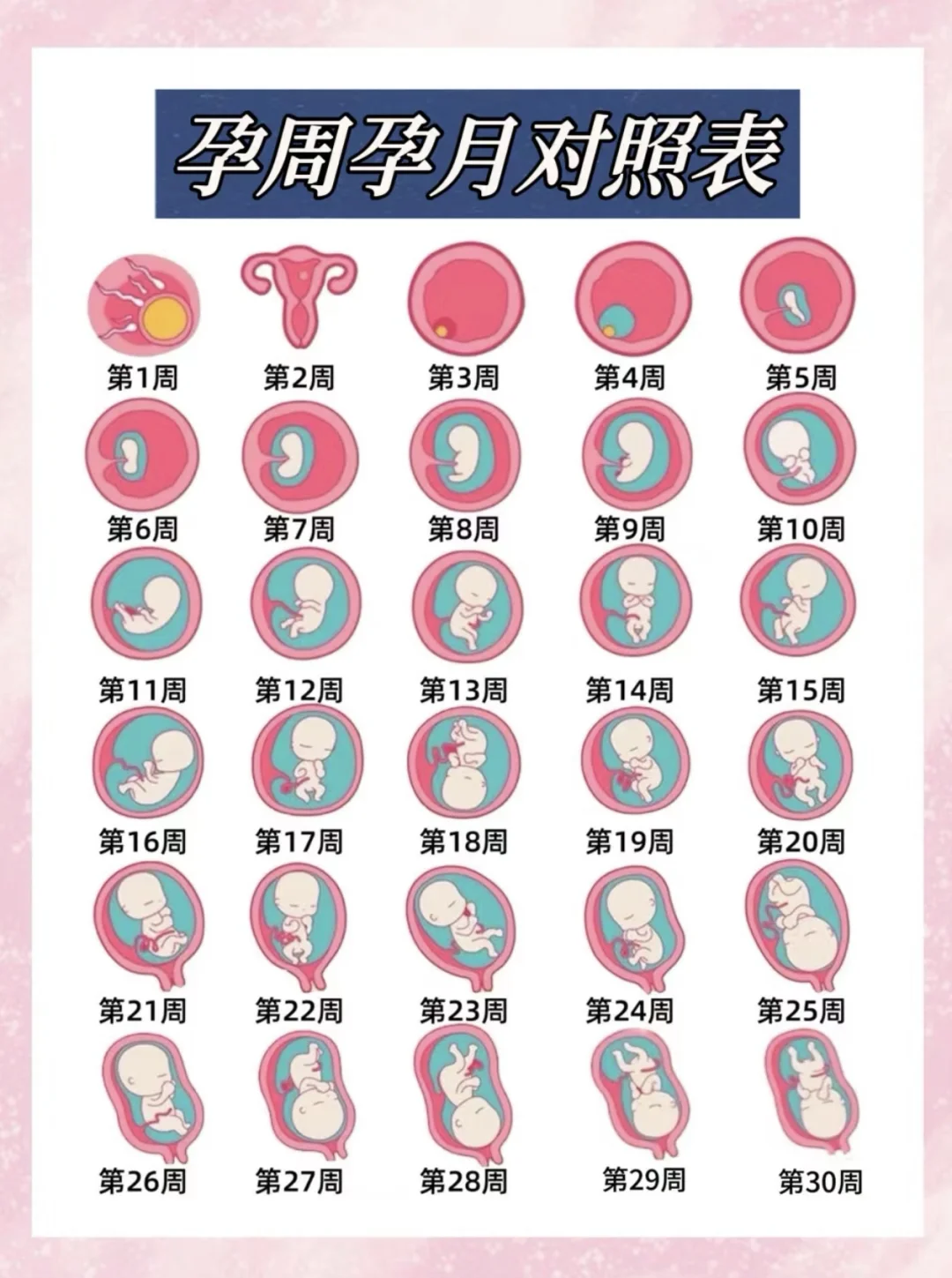 孕妈必知周期表算法🈷️,试管代孕流程与费用，国内供卵哪里有