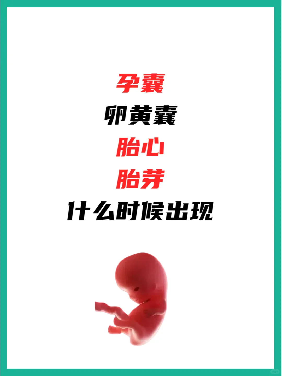 胎心胎芽什么时候出现?,供卵代怀生子机构