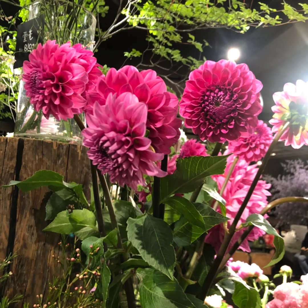 试管失败后要不要换医院,供卵助孕私立医院排名