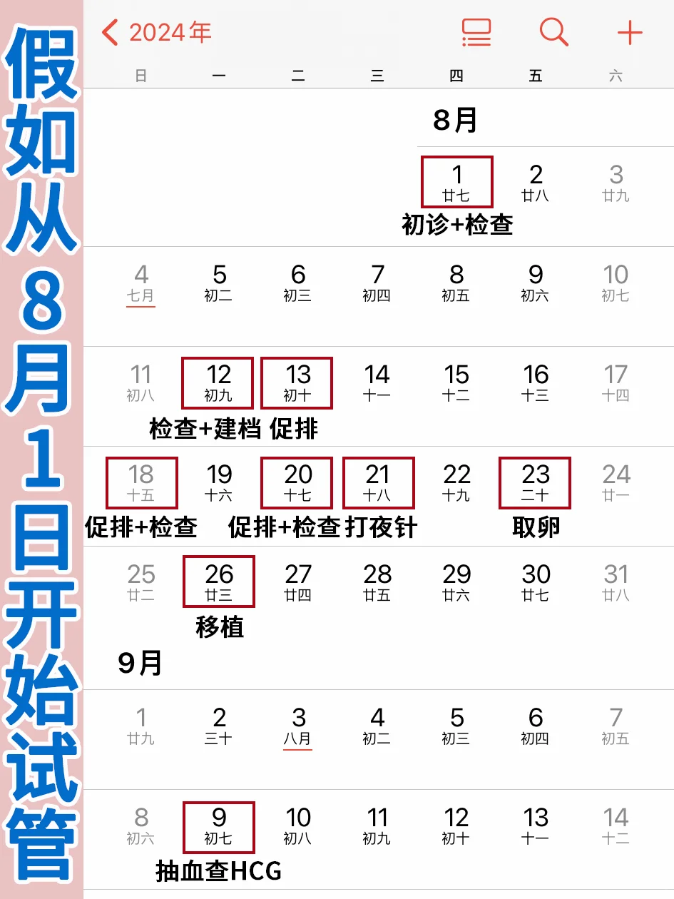 假如从8月1日开始做试管，什么时候可以怀孕❓,做第三代试管代孕的经历,零风险百分百包成功代孕